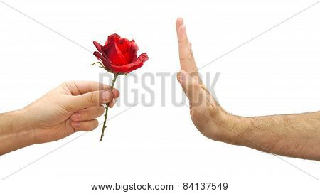 Hand refuses a flower or declines gift isolated on white background