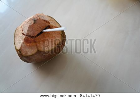 coconut juice drink pure table energy tree fruit tropical i