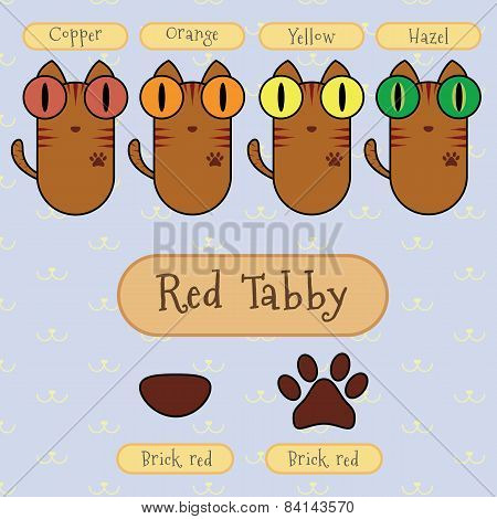 Red Tabby Cat.