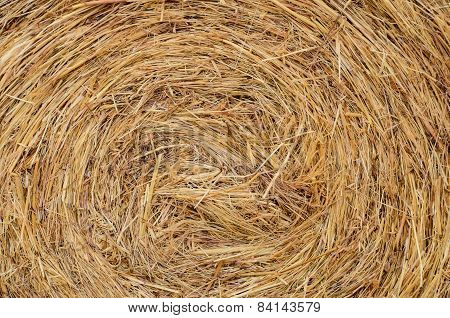 Hay Texture