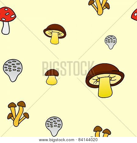 Mushrooms3