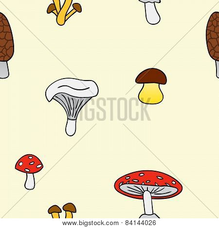 Mushrooms4