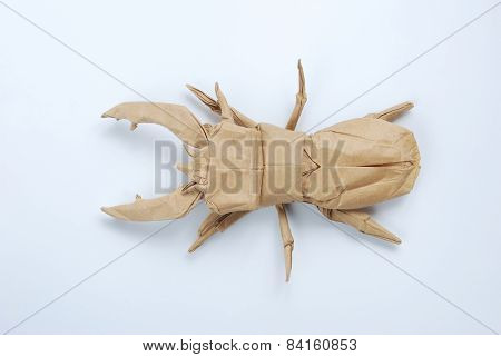 bug origami view from the top