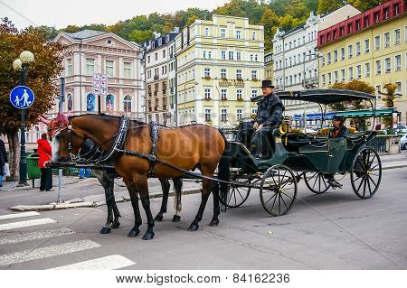 Two Horses Harnessed To The Carriage