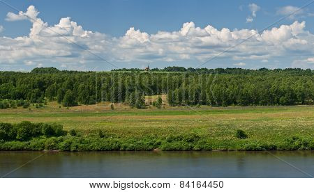 panorama of the forest