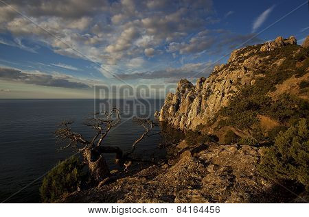 morning, the black sea