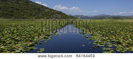 Montenegro, Lake Skadar