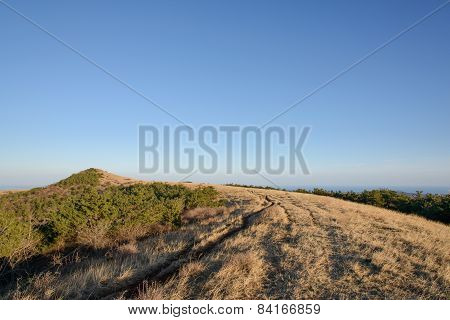 Top Of Baekyagi Oreum