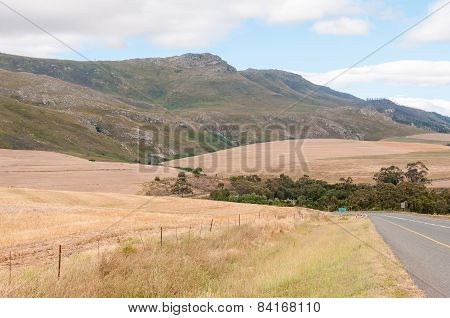 Landscape Next To The N2 Main Road, South Africa