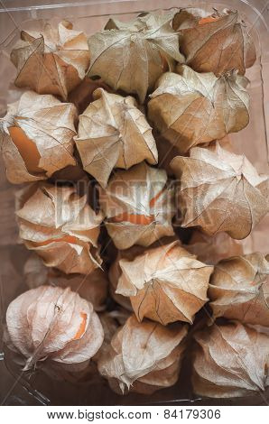 Cape Gooseberry