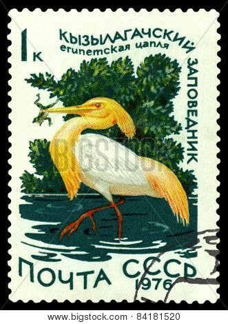 Vintage  Postage Stamp. Squaqqo Heron.