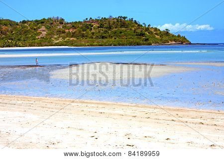Beautiful Andilana Beach Seaweed In Indian