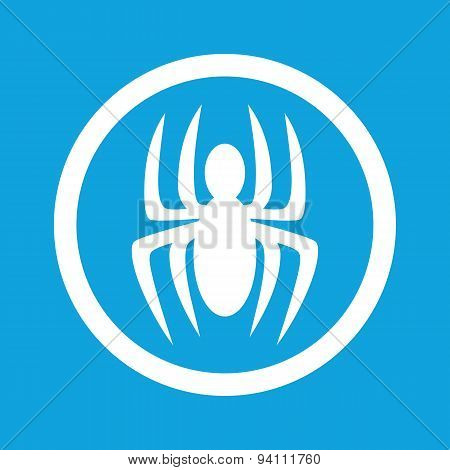 Spider sign icon
