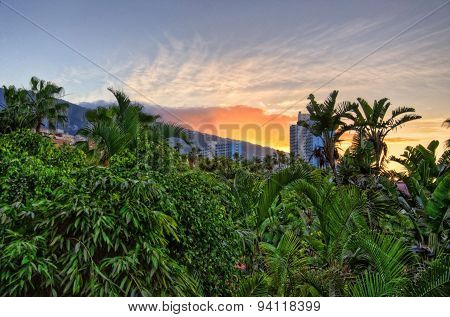 Sunset Above Jungles, Tenerife, Canarian Islands