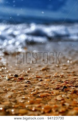 Summer Seashell Beach
