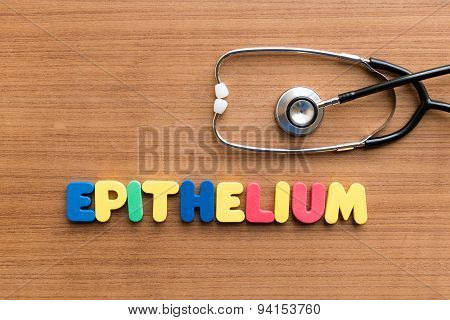 Epithelium