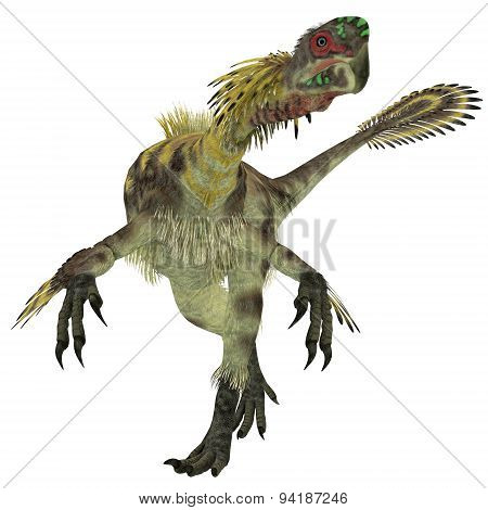 Citipati Male Dinosaur