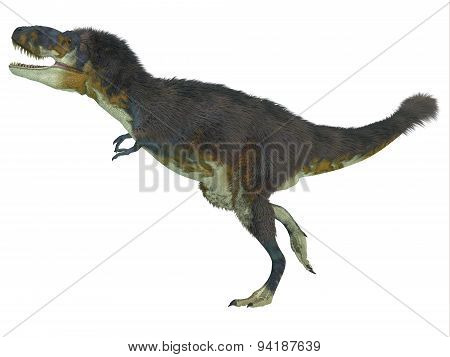 Daspletosaurus Side Profile