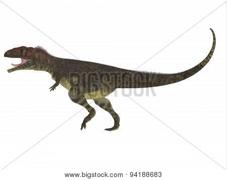 Mapusaurus Side Profile