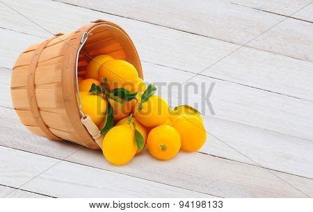 A basket full of fresh picked lemons on its side with fruit spilling out. Horizontal format on a rustic wood table with copy space