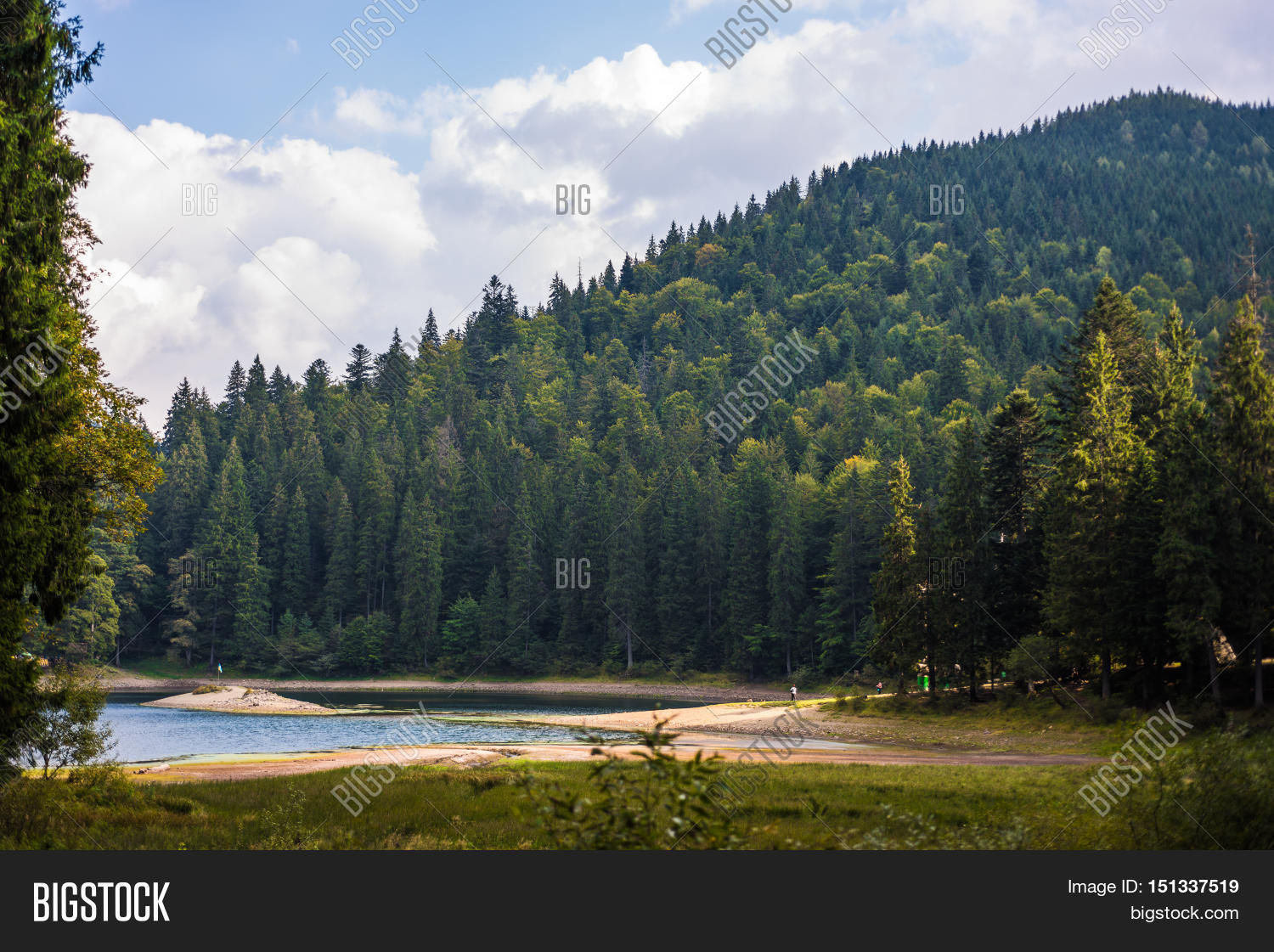 Image Preview