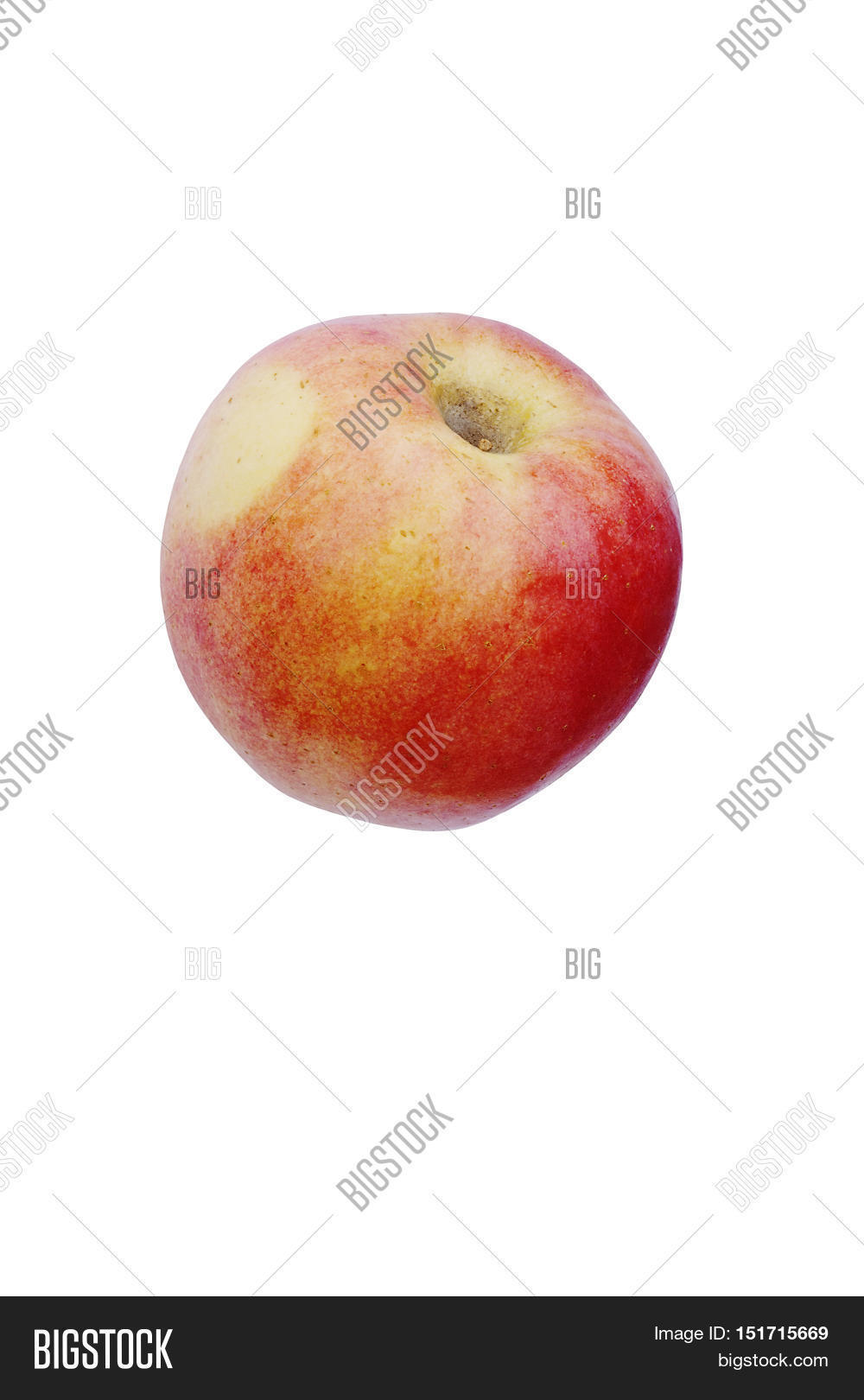 Pacific Rose Apple Image & Photo (Free Trial) Bigstock