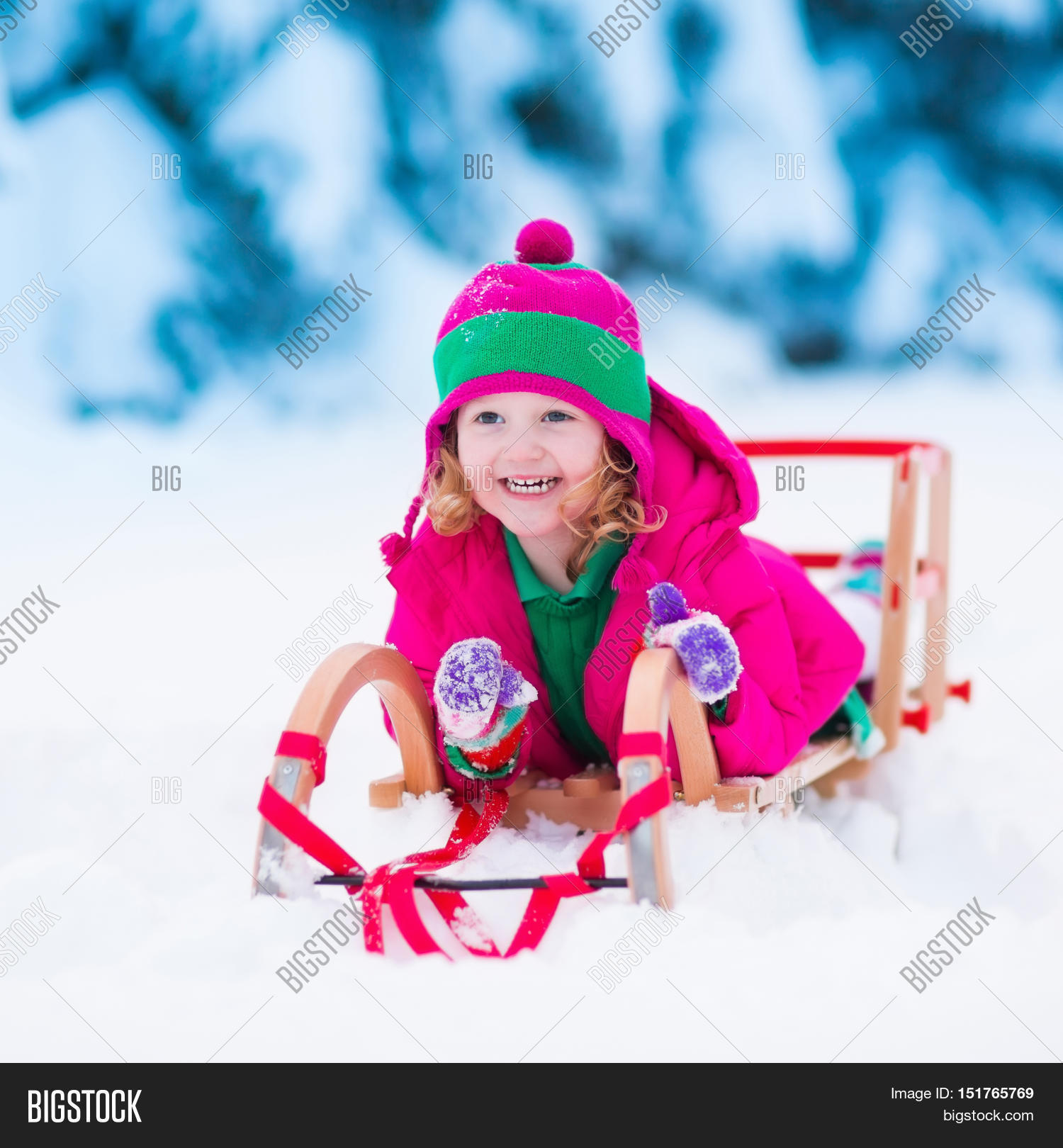 little girl enjoying a sleigh ride child sledding toddler kid riding a sledge - Christmas Vacation Sled little girl enjoying a sleigh ride child sledding toddler kid riding a sledge - Christmas Vacation Sled