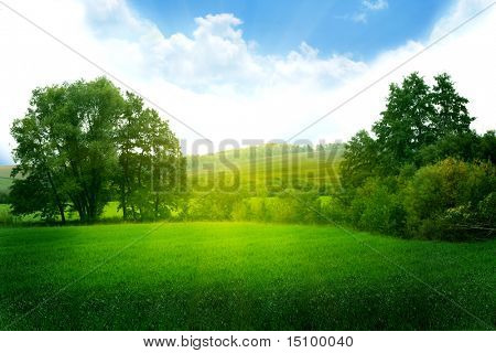 Paysage d'été
