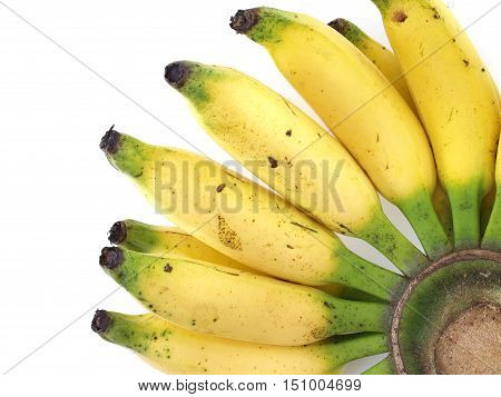 close up bunch of yellow ripe banana (Lebmuernang banana) isolated on white background, tropical fruits sweet taste and energizing, top view
