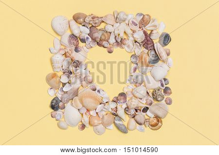 Sea shells frame with space for text on yeallow background.