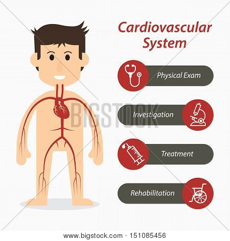 Cardiovascular system and medical line icon .