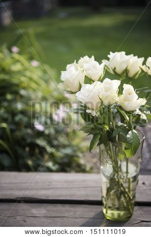 white roses with wooden floor and garden in background