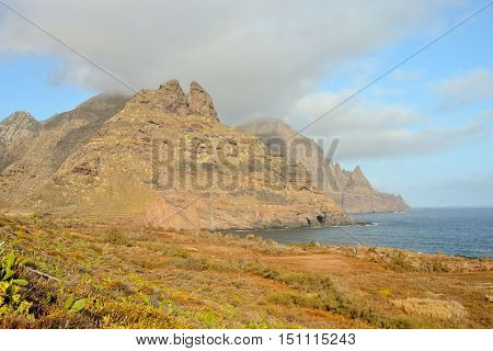 Ocean Coast's View