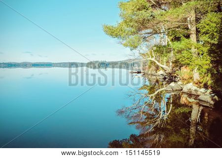 Amazing scenery by the lake during morning in Tupper Lake. The forest and the sky in the background are reflected from the still water