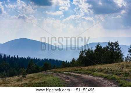 Carpathian Mountains in Summer. Beautiful nature landscape with mountains, trees and blue sky with clouds