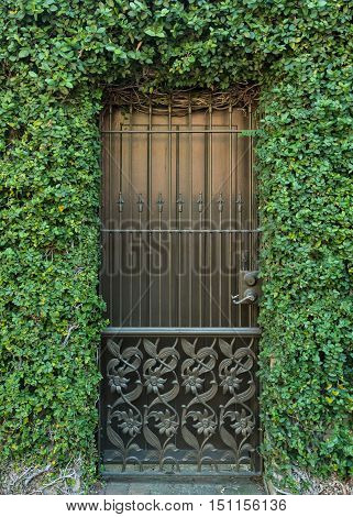 Wrought Iron Door and Ivy cover entrance to garden