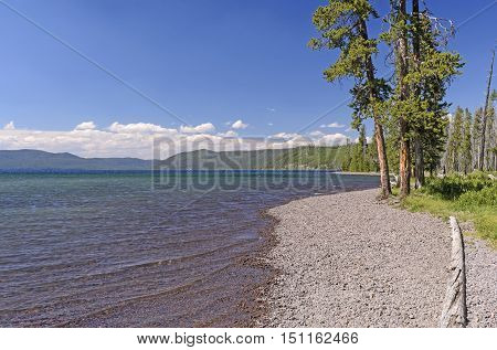 Shoshone Lake on a Summer Day in Yellowstone National Park in Wyoming
