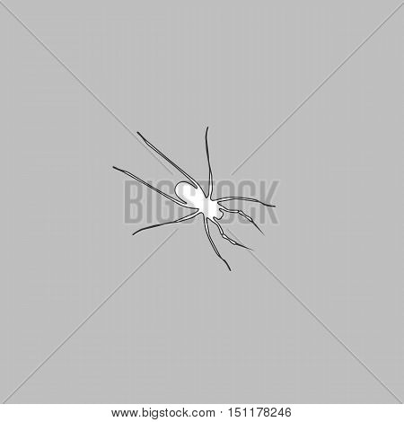 Spider Simple line vector button. Thin line illustration icon. White outline symbol on grey background
