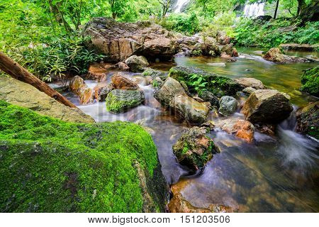 Stream in the tropical jungle and rain forest