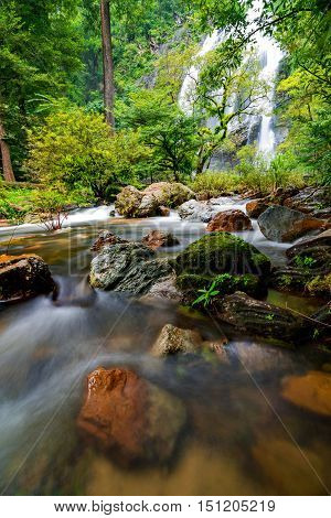 Stream in the tropical jungle and rain forest