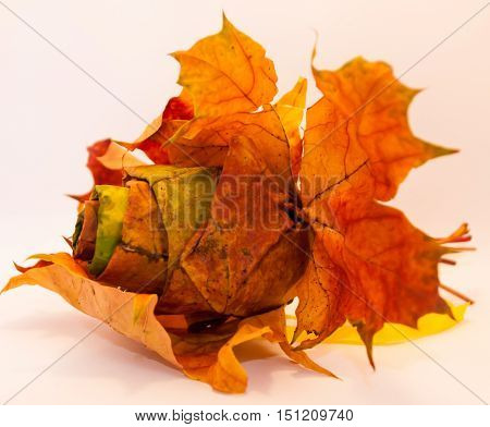 decorative bouquet of dry autumn maple leaves