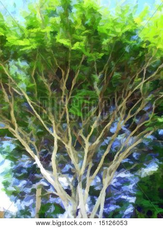 Albero esile