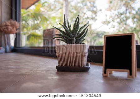 little plant decorations. little plant with small blackboard.