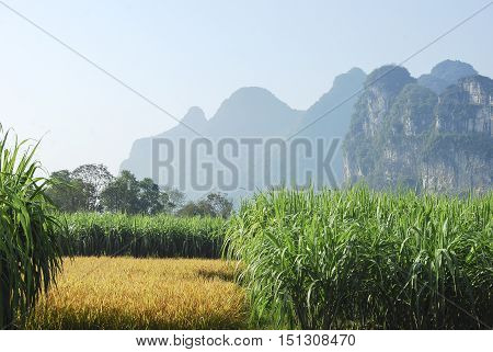 The karst mountains and rural scenery in autumn