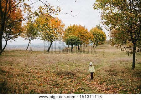Little girl in the autumn park. pathway