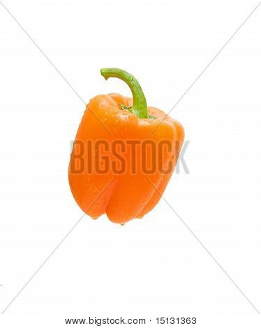 oranssia paprikaa valkoisella pohjalla