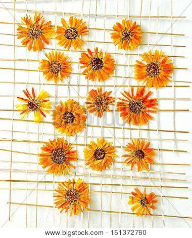 Bright yellow multicolor pressed chrysanthemum flowers under the grate of straw oil draw painting photo manipulation