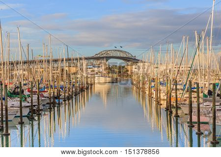 Boats mooring with Auckland harbor bridge background in Auckland New Zealand.