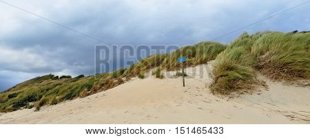 sunny scenery including a sanddune in the Netherlands
