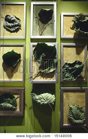 blomster designs i rummet